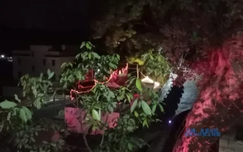 2020-03-19 永春丰山村一角拍摄