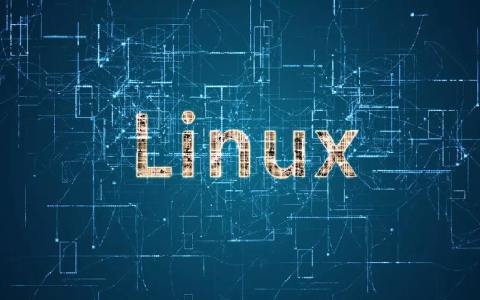 Linux系统防护：打造坚不可摧的铁壁，守护你的数字世界！