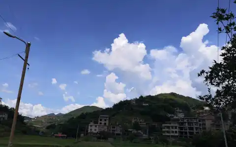 随手拍2020-08-02