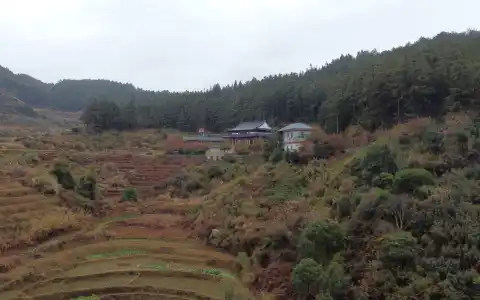 #修行小站 #2021新春 航拍吾顶（1）2021/02/11