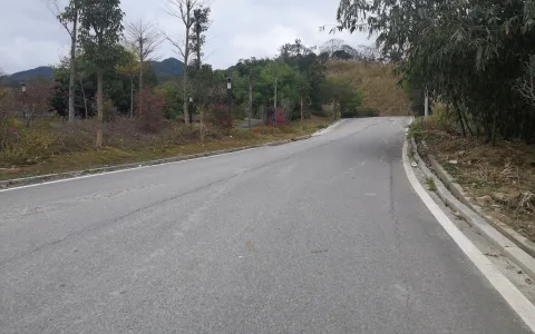 2021-02-13骑行VLOG1