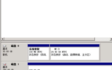 由于管理员设置的策略，该磁盘处于脱机状态-Winows Server 2019