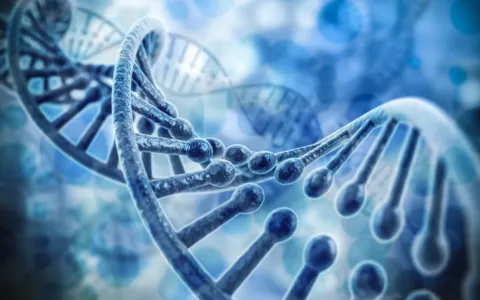 高中生物：探索DNA序列的切割、拼接和转移的奥秘