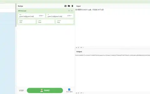 第十五届蓝桥杯大赛网络安全赛项（个人赛）Writeup-密码破解